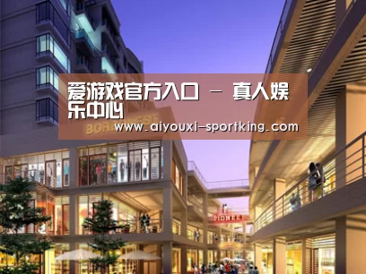 案例展示一(图1)