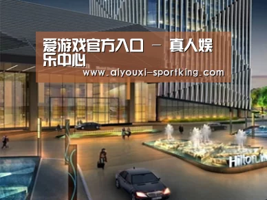 案例展示二(图1)