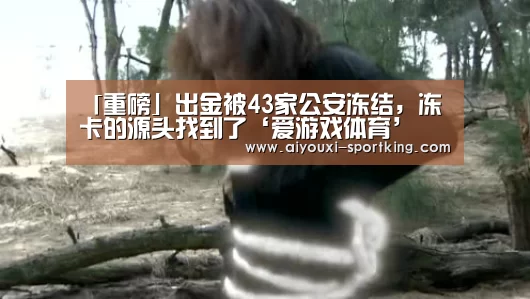「重磅」出金被43家公安冻结,冻卡的源头找到了‘爱游戏体育’(图1) 爱游戏体育官方网站