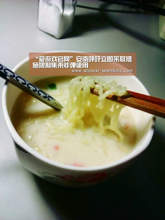 “爱游戏官网”安南呼吁立即采取措施限制集束炸弹使用(图4) 爱游戏官方入口