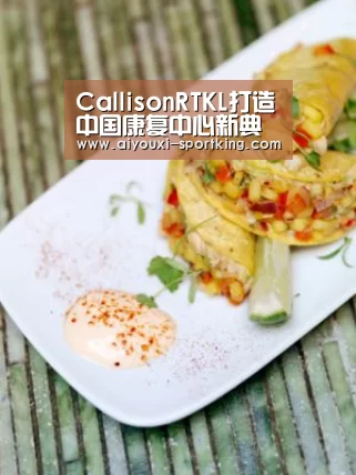爱游戏体育官方网站