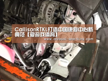 爱游戏体育