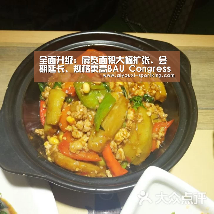 全面升级:展览面积大幅扩张、会期延长、规格更高BAU Congress China 2016华丽升级‘爱游戏官网’(图2) 爱游戏官网