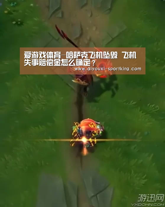 爱游戏体育-哈萨克飞机坠毁 飞机失事赔偿金怎么确定?(图3) 爱游戏体育