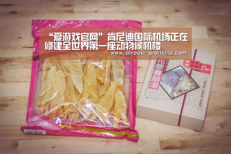 “爱游戏官网”肯尼迪国际机场正在修建全世界第一座动物候机楼(图1) 爱游戏官网