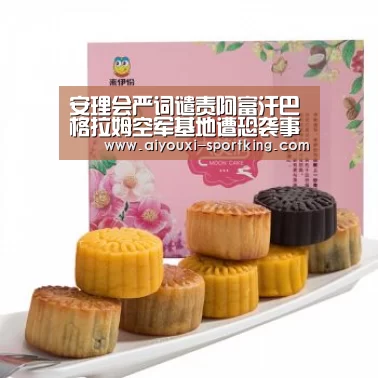 安理会严词谴责阿富汗巴格拉姆空军基地遭恐袭事件导致六名美军丧生“爱游戏体育官方网站”(图4) 爱游戏体育