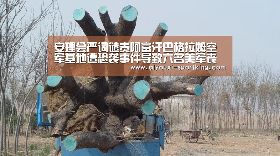 安理会严词谴责阿富汗巴格拉姆空军基地遭恐袭事件导致六名美军丧生“爱游戏体育官方网站”(图3) 爱游戏体育